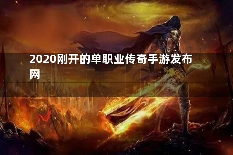 2020刚开的单职业传奇手游发布网