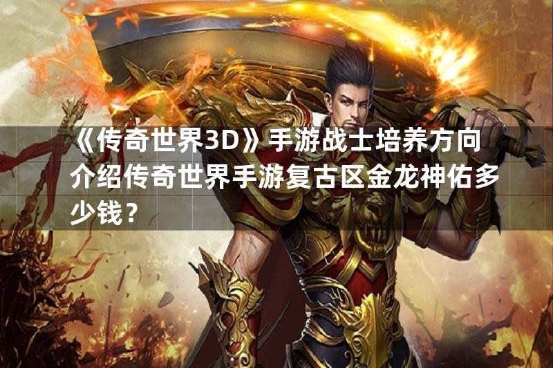 《传奇世界3D》手游战士培养方向介绍传奇世界手游复古区金龙神佑多少钱？