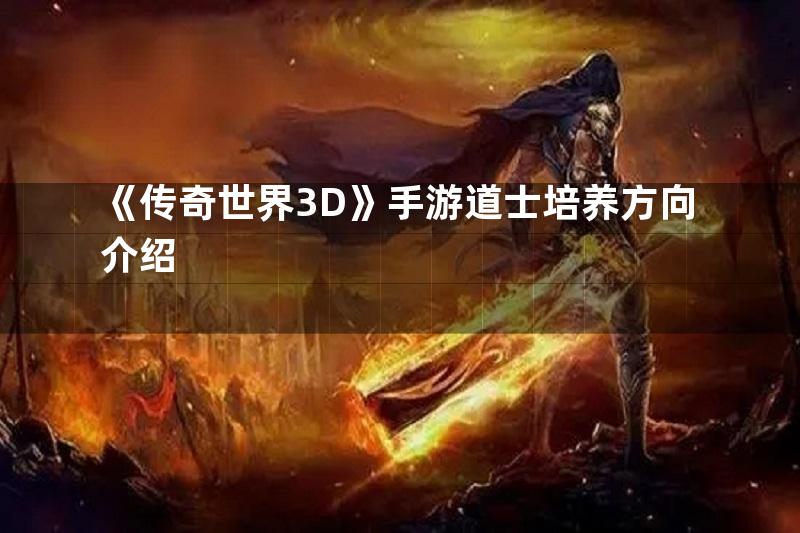 《传奇世界3D》手游道士培养方向介绍