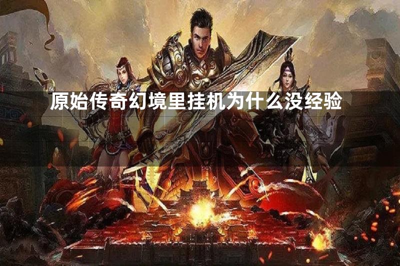 原始传奇幻境里挂机为什么没经验