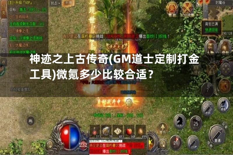 神迹之上古传奇(GM道士定制打金工具)微氪多少比较合适？